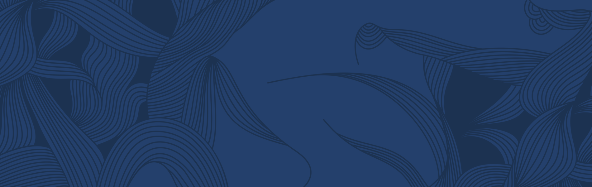 Open Call for Dance Film Artists